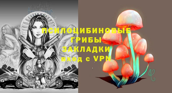 spice Абаза