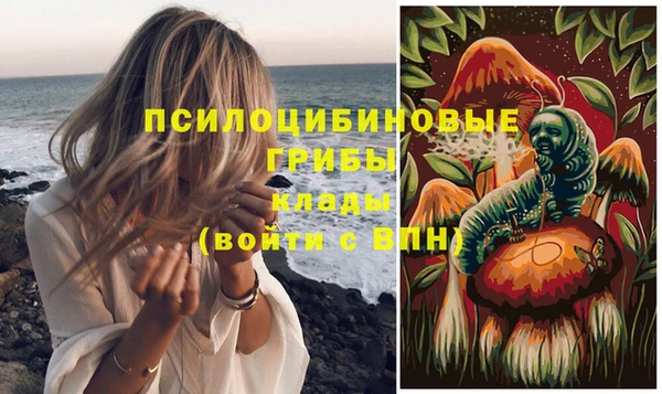 герыч Алексин