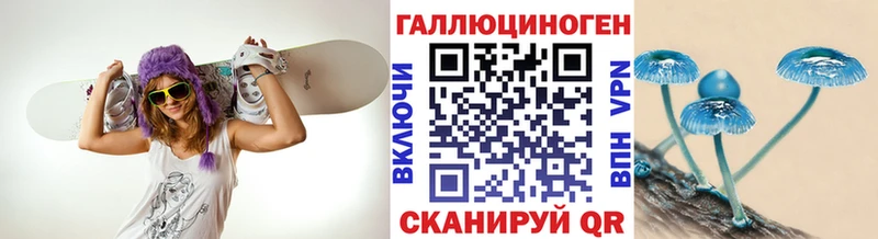 Галлюциногенные грибы мицелий  даркнет сайт  Новое Девяткино 